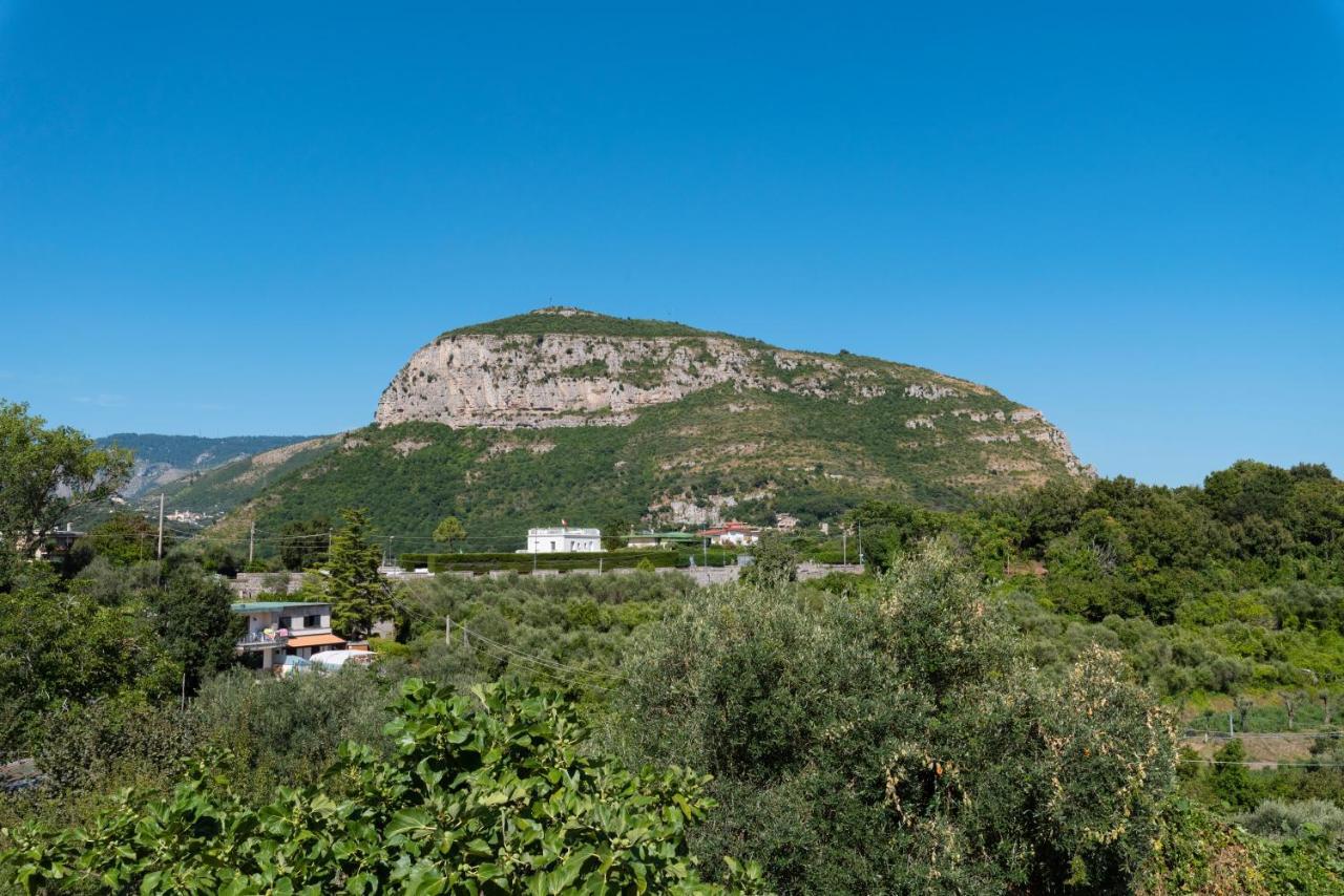 Villa Anna - De Vivo Realty Πιάνο ντι Σορέντο Εξωτερικό φωτογραφία